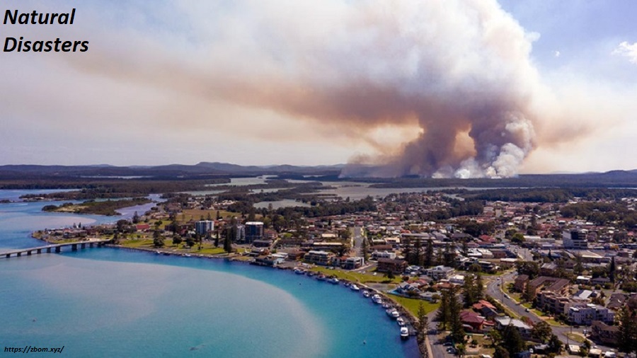 Hurricanes, earthquakes, and wildfires are examples of natural disasters. 