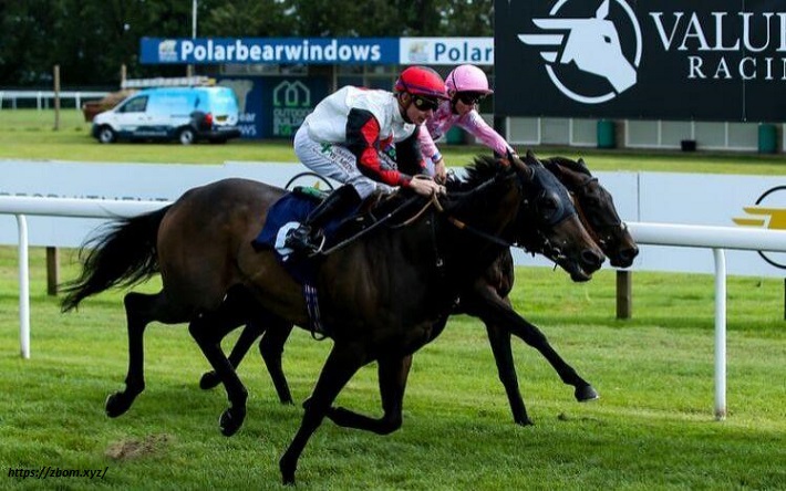 Thrilling live horse racing in Turfway Park Racing and Gaming