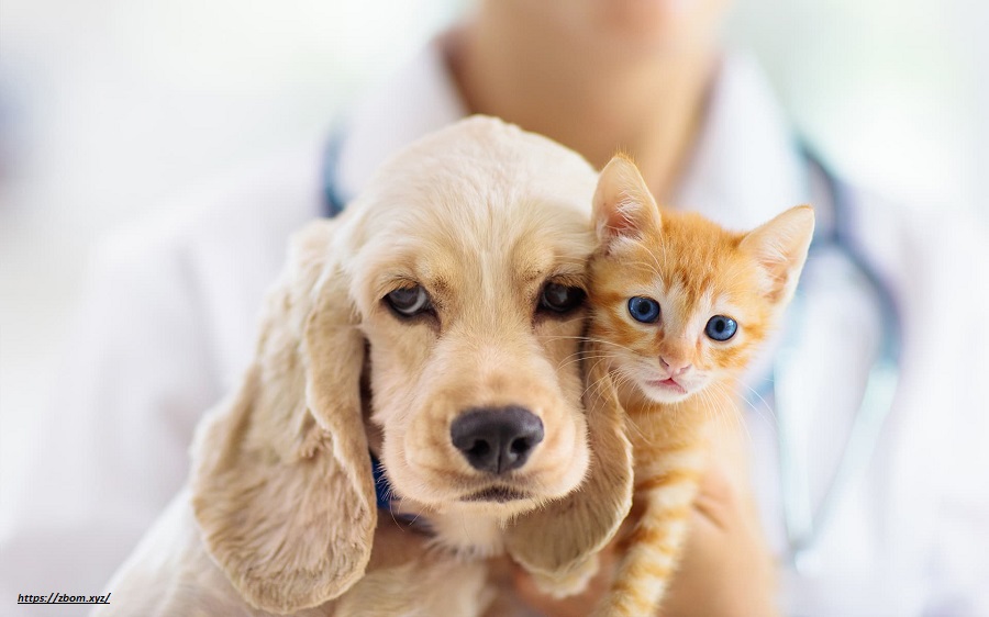 Excellent Customer Service & Support