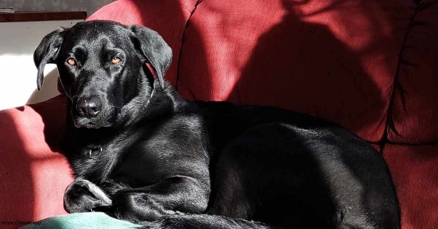 Identifying an allergen and reducing exposure to it are often the first steps in managing allergies. 