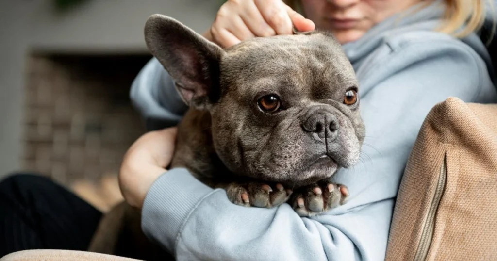 Allergies and Sensitivities