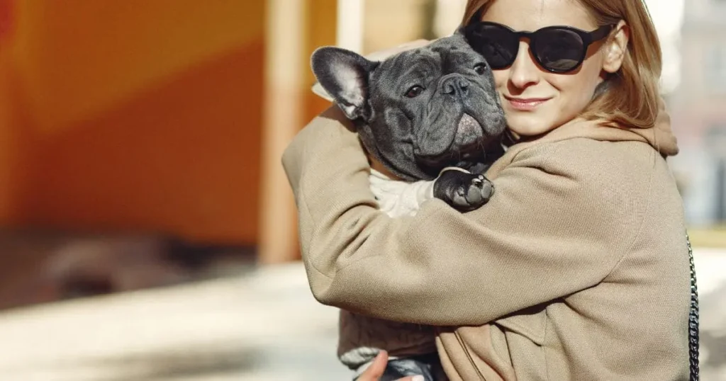 Are French bulldogs hypoallergenic