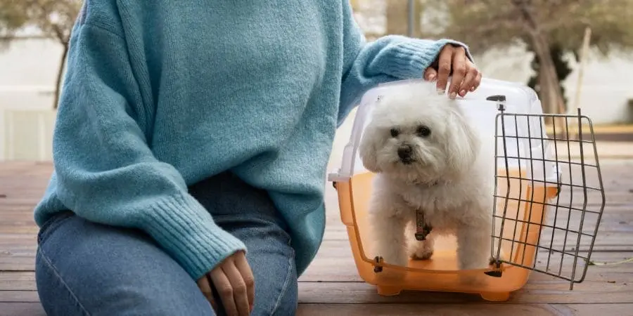 Can I use a crate as a dog whelping box