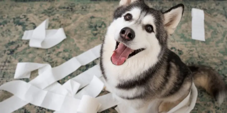 Clean the Folds Clean the Folds