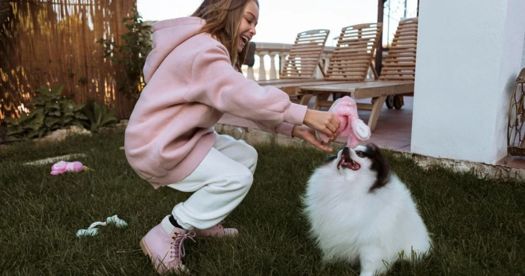 Complete Pet Hair Removal Strategy