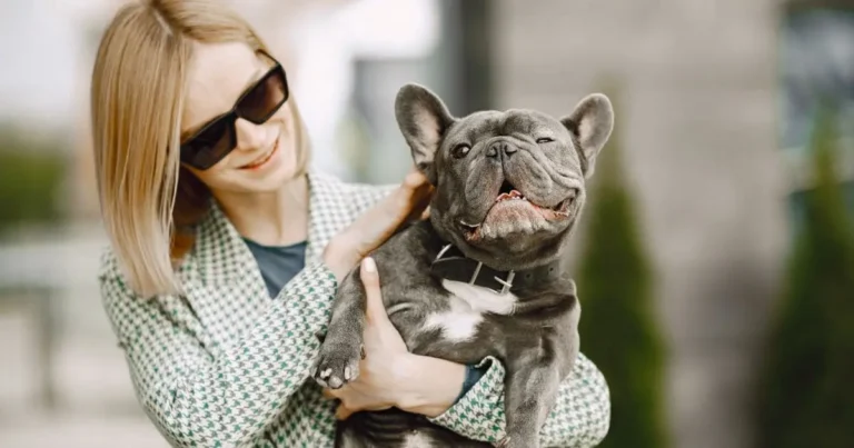 Do French Bulldogs Get Along With Other Dogs