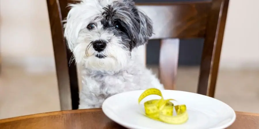 Elimination Diets for Food Allergy Investigation Elimination Diets for Food Allergy Investigation