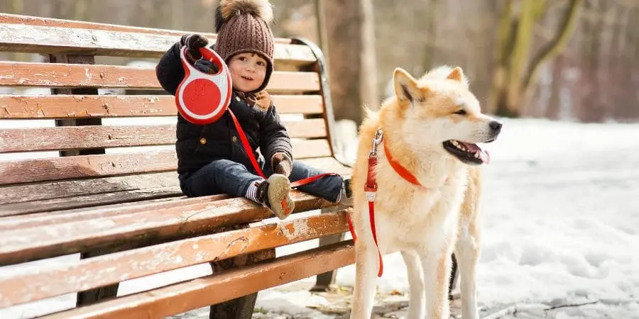 Finding your puppy in West Traverse, Michigan Finding your puppy in West Traverse, Michigan
