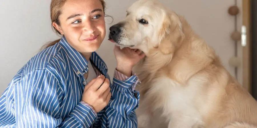 Great Emotional Support Dogs Great Emotional Support Dogs