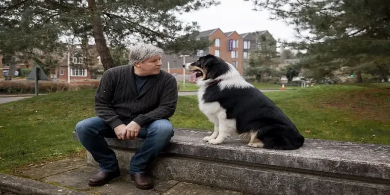 How Old does a Dog have to be a Breed