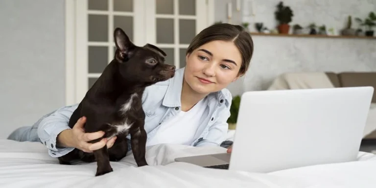 How to Determine Frenchie Dog Prices Effectively