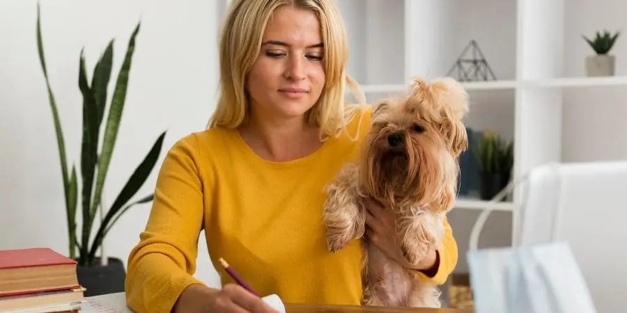 How to Estimate Long Haired French Bulldog Cost.