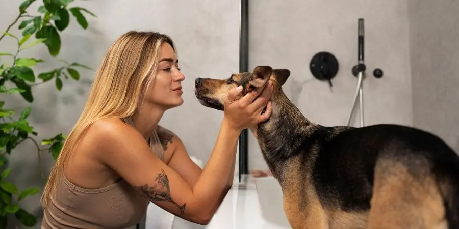 How to Keep Your Frenchie Clean How to Keep Your Frenchie Clean