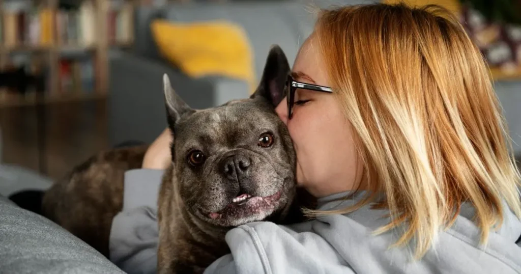 How to Manage Shedding in French Bulldogs Effectively