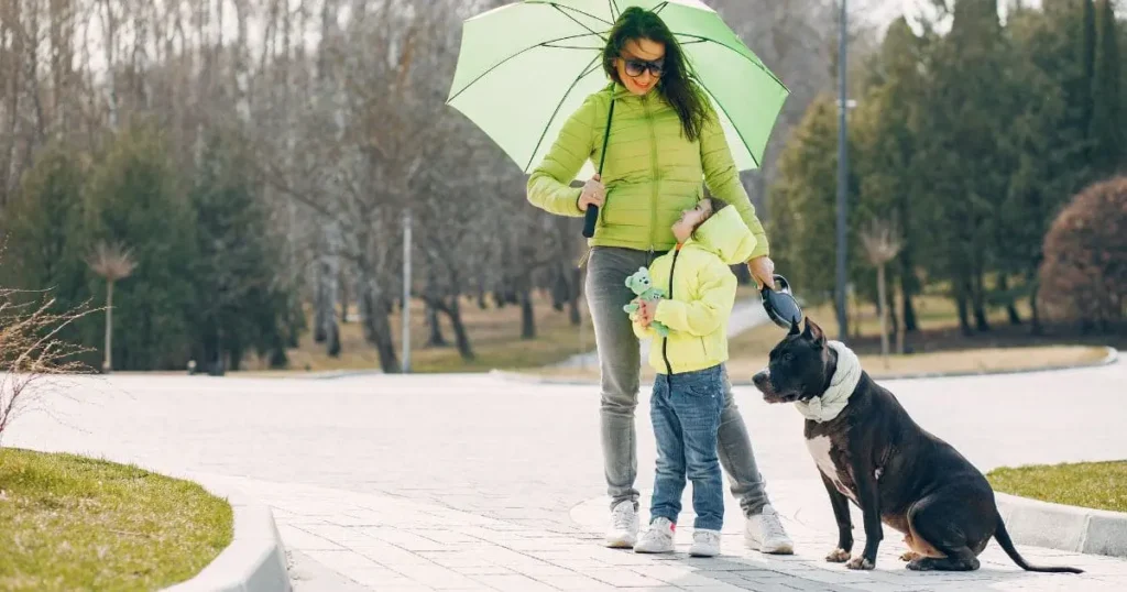 Keeping your dog cool during walks on hot days Keeping your dog cool during walks on hot days