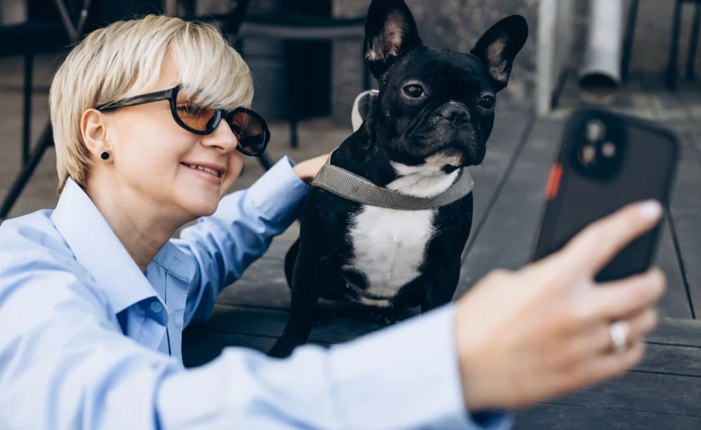 Ongoing Expenses for Adult French Bulldogs Ongoing Expenses for Adult French Bulldogs