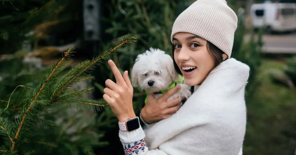 Tips for Reducing Shedding During Seasonal Changes Tips for Reducing Shedding During Seasonal Changes