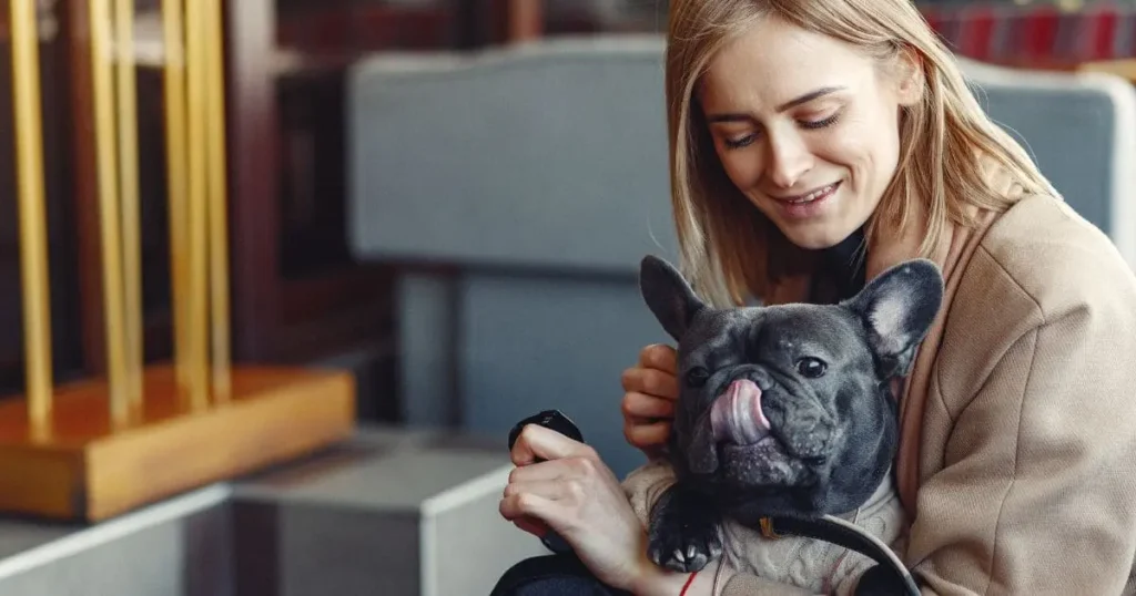 Tips to Keep Shedding Under Control in Your Frenchie Tips to Keep Shedding Under Control in Your Frenchie