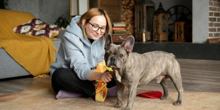 Your French Bulldog’s Health