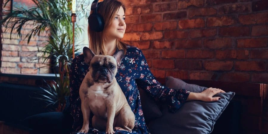 Frenchie Behavior & Emotional Well-Being