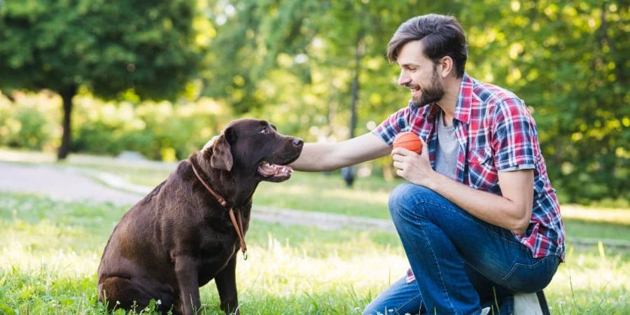 Choose Healthy Dogs