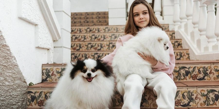 When Can Male Dogs Get females Pregnant