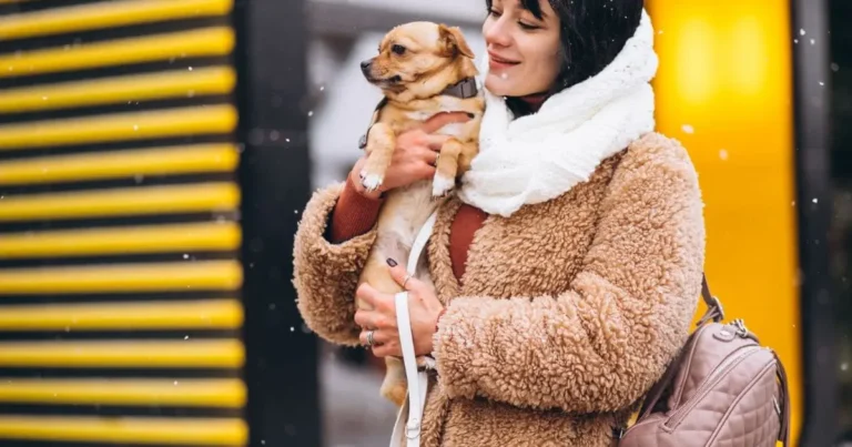 Why Alergias Bulldog Frances Succeeds