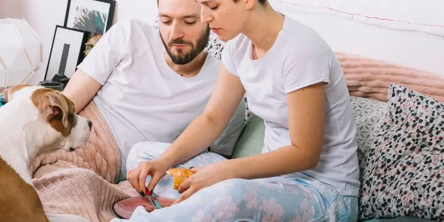 What happens during whelping – a step-by-step guide
