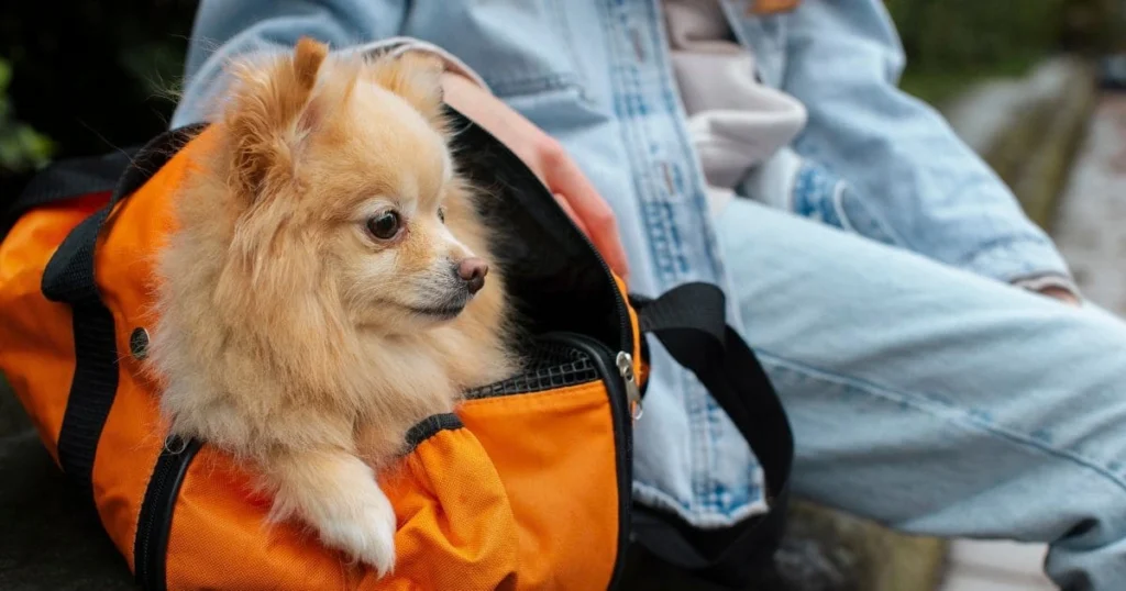 Accessible Pricing Structures