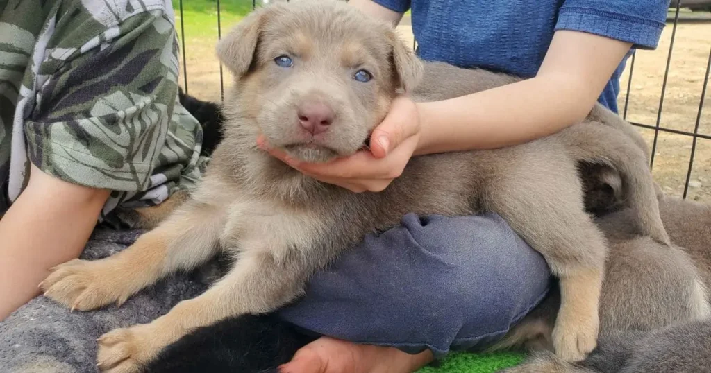 Feeding and Nutrition Feeding and Nutrition