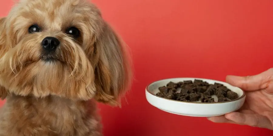 Ground Beef and Quinoa Power Bowl Ground Beef and Quinoa Power Bowl