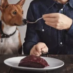How To Prepare Ground Beef For Dogs