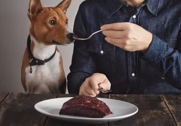 How To Prepare Ground Beef For Dogs