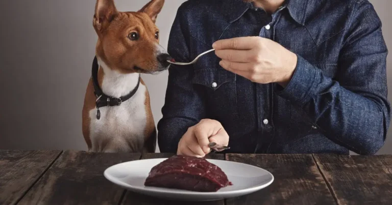 How To Prepare Ground Beef For Dogs