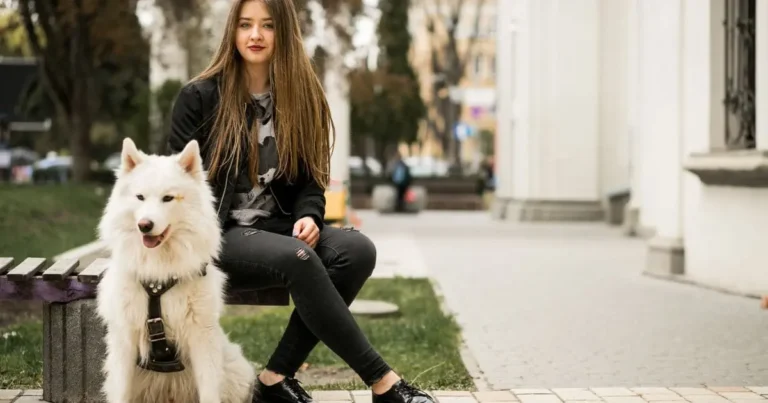 How To Start a Business With Can You Shave a Husky