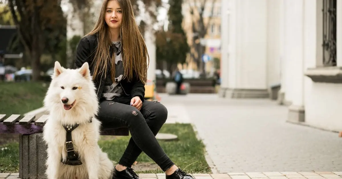 How To Start a Business With Can You Shave a Husky