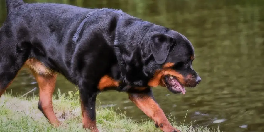 Initial Evaluation and Treatment