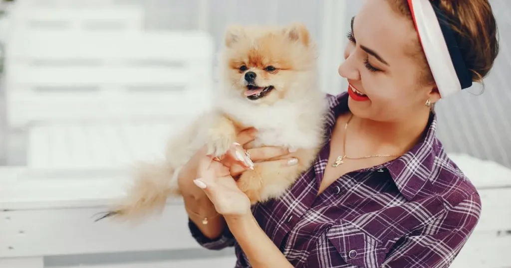 Regular-Grooming-and Short-Coat Maintenance Regular Grooming and Short Coat Maintenance