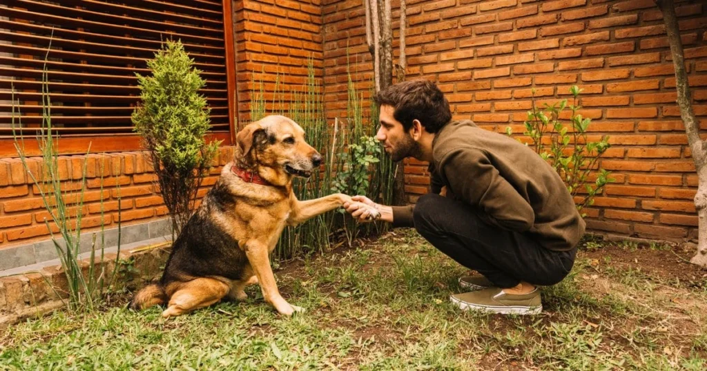 Safety-Critical Procedures