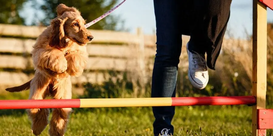 The Bottom Line The Bottom Line