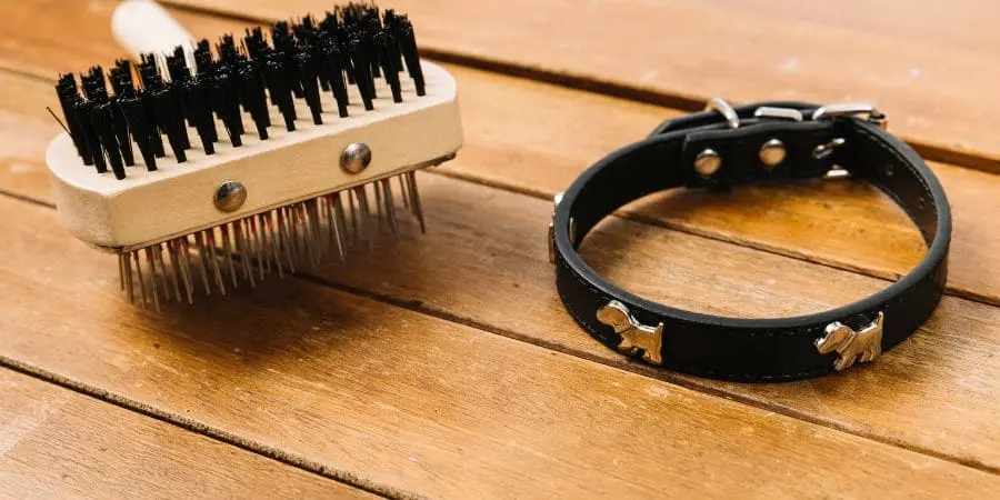 Trimming and Clipping Essentials Trimming and Clipping Essentials