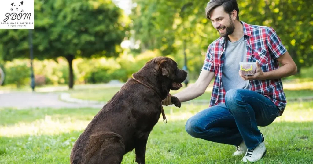 gather-indgredients Gather Indgredients