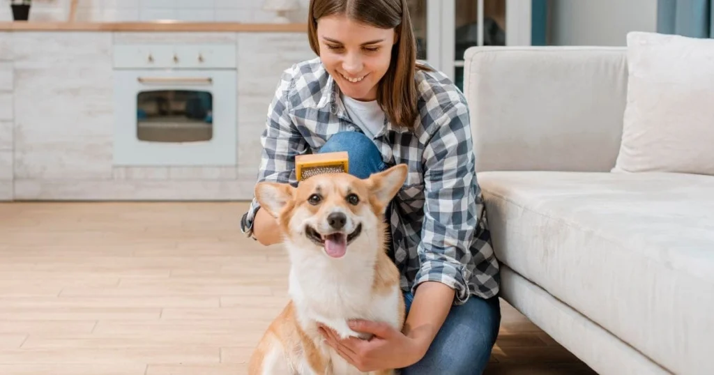 Why grooming is important Why grooming is important