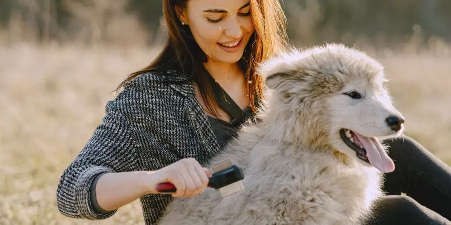 Year-Round Brushes for Huskies Year-Round Brushes for Huskies
