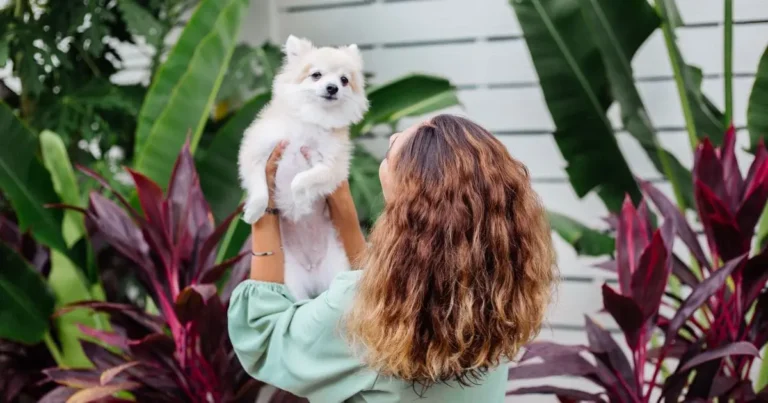 Can I Use Human Hair Conditioner On My Dog