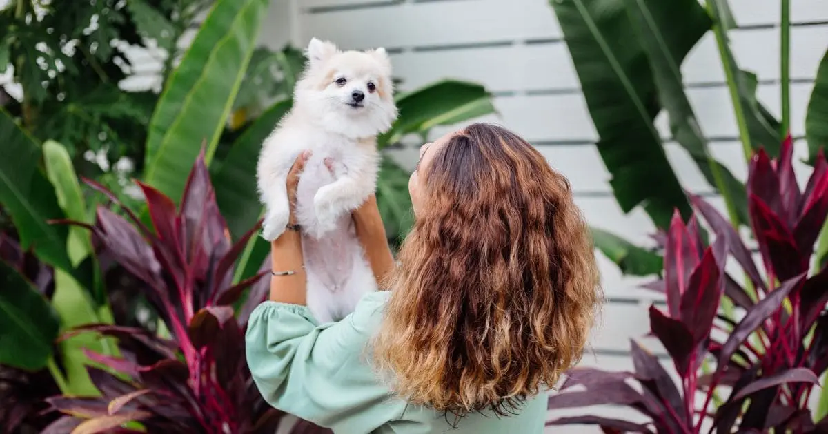 Can I Use Human Hair Conditioner On My Dog