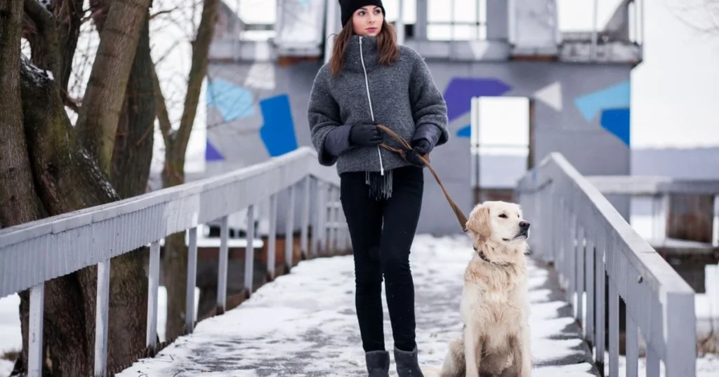 corporation-formal-structure-for-business-ownership (1) Corporation: Formal Structure for Business Ownership