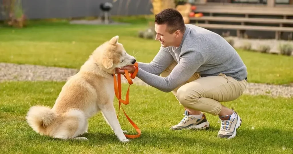 do-you-know-how-to-train-your-pitbull-puppy-_2_ (1) Do You Know How to Train Your Pitbull Puppy