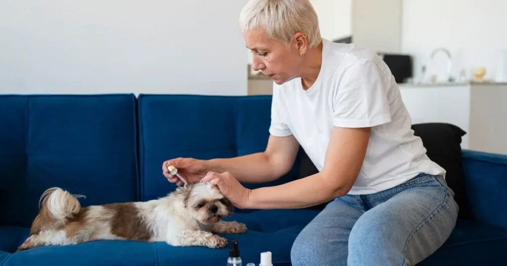 furminator-for-maximum-shedding-control Furminator for Maximum Shedding Control