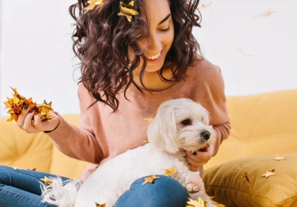 Health Problems in Labradoodles